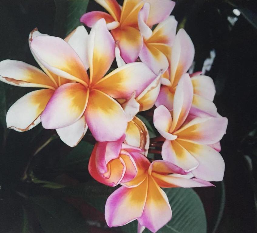 Hanalei Gardens Mae Nam Luaran gambar